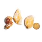 03 Alabastro Bruto Natural 2 a 5cm 10 a 25g Tipo B