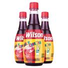03Un Xarope Artificial Sabor De Groselha 500Ml Para Bebidas Sobremesa Raspadinha Sorvete Wilson