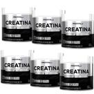 06 Unid Creatina Monohidratada 100% Pura 300g ProVitalli - Creatine Importada