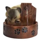 1 Bebedouro para Gatos com motor Bivolt Fonte de Agua Pet