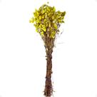 1 Buquê Margarida Natural Amarelo Desidratado Arranjo Decoração Casa
