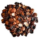 1 Casca De Macadâmia Para Orquídeas 3 Litros