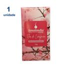 1 Cheirinho Carro Perfume Automotivo Console Aromatizante 15g Odorizante Sachê Forte - Envio Já 1 Cheirinho Carro Perfume Automotivo Console Aromatizante 15g Odorizante Sachê Forte - Envio Já
