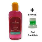 1 Essência Concentrada Desinfeta 140ml Lavanda Talco Cereja Avelã Bambu Algas Mari Capim - Envio Já