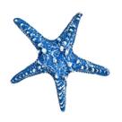 1 Estrela Do Mar Resina Decorar Pendurar Parede Pousada Praia