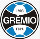 1 Forma Time Em Abs Brasão Escudo Grêmio (40cm)