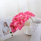 1 Haste De Orquídea Artificial Silicone Para Decorações 69cm