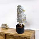 1 Haste de Orquídea Branca phalaenopsis Artificial 100cm Flor com Folhagem Ideal para Sala e Escritório DE1324