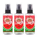 1 Home Spray Ambientes e Tecidos 110ml Melancia