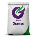 1 Kg De Sementes De Grama Esmeralda Plus