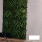 1 M2 Jardim Vertical Natural Desidratado Folhagem Variadas