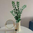 1 Planta Artificial com Toque Realista: Ótima Opção para Decoração de Ambientes Internos - DE0422