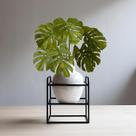 1 Planta Artificial Premium Buque Costela de Adão 65cm em Silicone Linha Luxo Para Decoração de Casa - DE1625