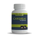 1 Pote Carqueja Pura em Cápsulas 500mg Suplemento Natural