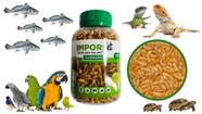 1 Pote com Gammarus Desidratado para Aves Peixes Répteis 20g Importado
