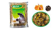 1 Ração Mistura para Pássaros / Passarinho Pixarro Trinca-ferro Insetos E Mel 500g
