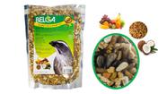 1 Ração Pássaro Preto Sábia Melros Pixarro Coco c/Frutas 500g Belga