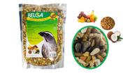 1 Ração Pássaro Preto Sábia Melros Pixarro Coco c/Frutas 500g Belga