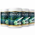 1 Staglico Nutricost I Suplemento em Pó Sabor Natural Premium I Saúde Digestiva 1 Staglico Nutricost I Suplemento em Pó Sabor Natural Premium I Saúde Digestiva