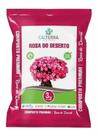 1 Substrato Rosa Do Deserto 3 Kg Calterra