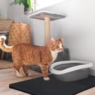 1 Tapete Absorvente para Patinhas Gato Lavável - 70x50 Preto - Alta Absorção Quality 1 Tapete Absorvente para Patinhas Gato Lavável - 70x50 Preto - Alta Absorção Quality