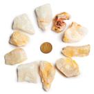 10 Alabastro Bruto Natural 2 a 5cm 10 a 25g Tipo B