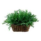10 Buquê de Chifre de Veado Planta Artificial que Encanta pela Beleza e pelo Realismo - DE645606