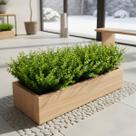 10 Buquês de Folhagens Artificiais de Eucalipto (Alta Qualidade) Decoração em Ambientes Internos 10 Buquês de Folhagens Artificiais de Eucalipto (Alta Qualidade) Decoração em Ambientes Internos