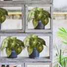 10 Buquês de Singônio Artificial com Folhagens Realistas Planta Decorativa para Vasos e Arranjos - DE0725 10 Buquês de Singônio Artificial com Folhagens Realistas Planta Decorativa para Vasos e Arranjos - DE0725