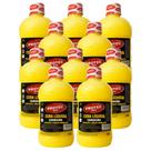 10 Carnaubinha Liquida Protec Restauradora Pronto Uso - 500ml 10 Carnaubinha Liquida Protec Restauradora Pronto Uso - 500ml