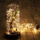 10 Cordão Fio Luz De Led Prata A Pilha Aa 30 Led 3 M Decorat 10 Cordão Fio Luz De Led Prata A Pilha Aa 30 Led 3 M Decorat