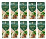 10 Erva Mate Chimarrão MATE NATIVO MENTA E LARANJA 500g
