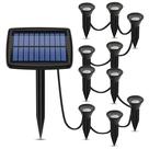 10 Luzes Solares de Jardim em 1 - À Prova D'Água para Paisagismo