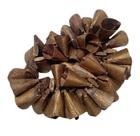 10 Mini Chocalhos de metal Marrom para portões e animais 10 Mini Chocalhos de metal Marrom para portões e animais