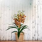 10 Orquídeas Artificiais para Decoração de Centro de Mesa Interno em Vasos e Arranjos - DE2123