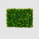 10 Placa De Samambaia 40x60 Cheia Jardim Vertical Artificial Domus Vita