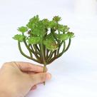 10 plantas artificiais suculenta araucária em silicone decoração de casa lembrancinhas - sem vaso - DE8863VD