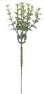 10 Ramos de Folhagem Pick Eucalipto C/Powder X5 (VERDE) 23 cm