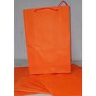 10 Sacolas Lisa Lembrancinha Festa Laranja.