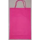 10 Sacolas Lisa Lembrancinha Festa Rosa Pink.