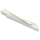 10 SIDE DOT Marcador lateral escala guitarra 1.5 branco