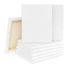 10 Telas Brancas Para Pintura 20x30 Tecido Arte E Diversão 10 Telas Brancas Para Pintura 20x30 Tecido Arte E Diversão