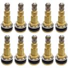 10 Unidades Válvula para Pneu sem Câmara TR-618A Latão Fiontar