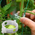 100 Clipes Plantas Plástico Amarração/fixação Jardinagem