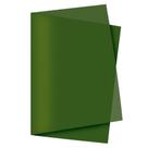 100 Folhas de Papel Seda 49x69 cm Verde Musgo para Presente Roupas Sapatos Pipa