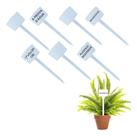 100 Placas Plaquinha Identificação De Plantas E30 Para Horta - Branca