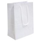 100 Sacolas De Papel Branca 25x17x6cm Bolsa Festa Lembrancinha Surpresa