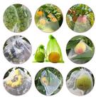 100 Sacos De Proteção Fruta figo, caqui contra pássaro (10x15)