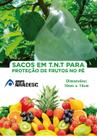 100 Sacos Em Tnt Para Proteção De Frutas No Pe 10 X 15 Cm 100 Sacos Em Tnt Para Proteção De Frutas No Pe 10 X 15 Cm