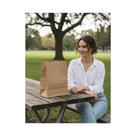 100 Sacos Kraft Delivery G (24x15x32) Reforçados